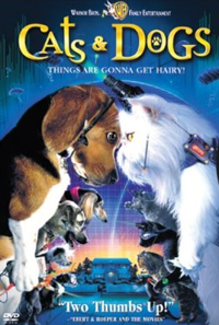 catsanddogs