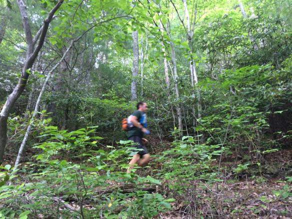 11650466_653365320073_1523579652_n