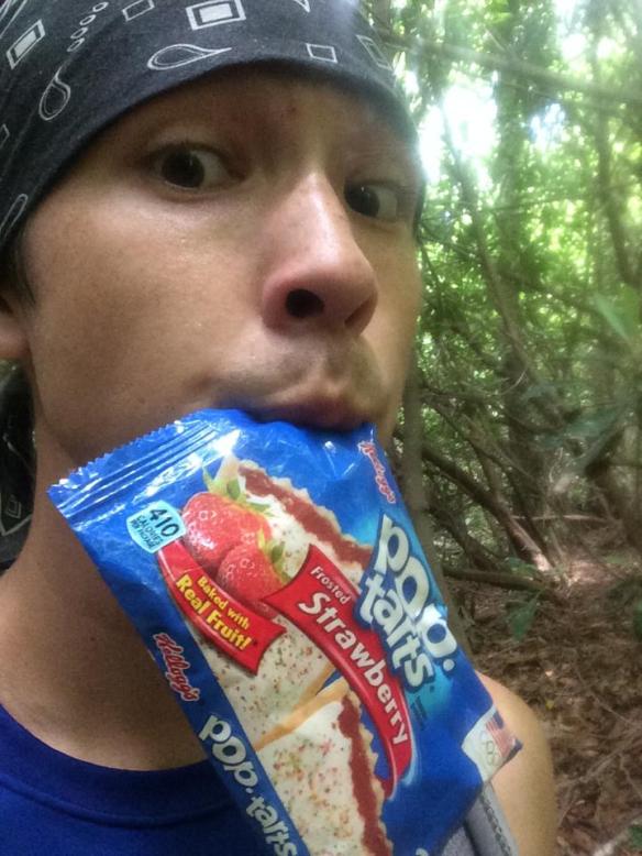 11655529_653365364983_1754572062_n