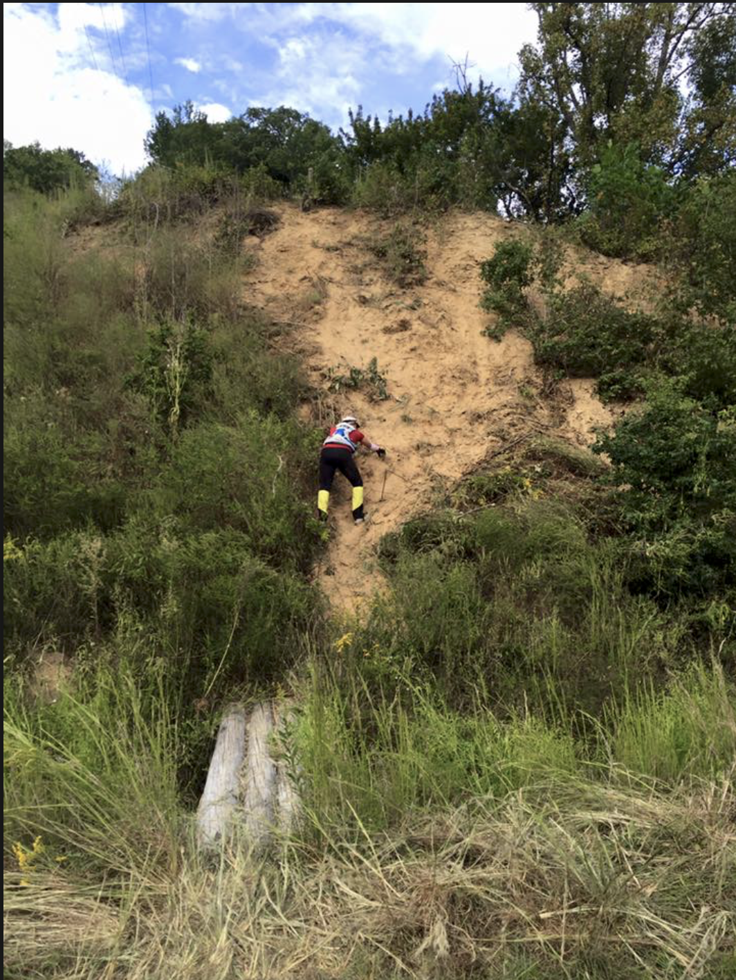 Screen Shot 2018-10-01 at 11.52.44.png